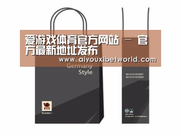项目名称十四