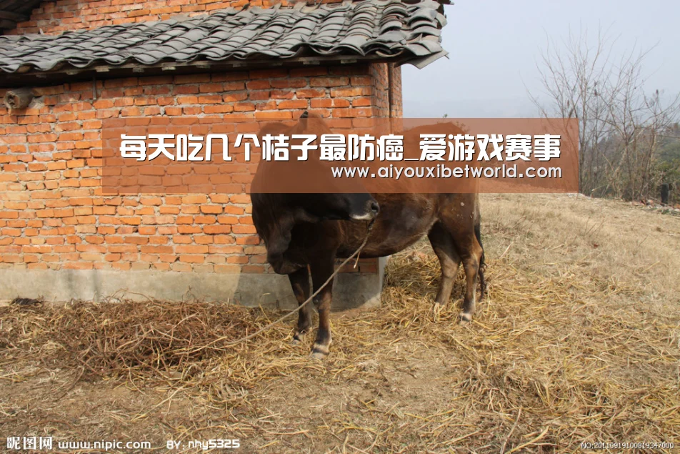 每天吃几个桔子最防癌_爱游戏赛事(图1) 爱游戏赛事