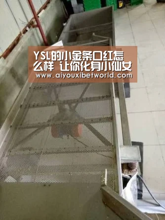 YSL的小金条口红怎么样 让你化身小仙女|爱游戏赛事(图2) 爱游戏视讯